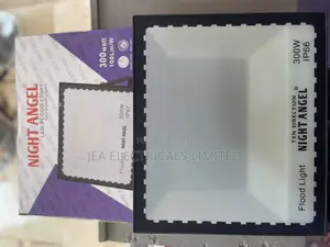 300W Floodlight