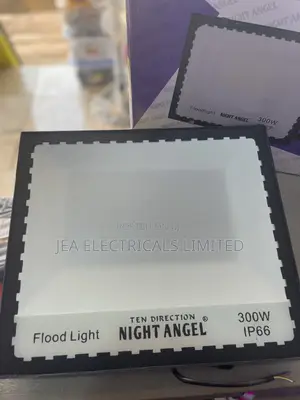 300W Floodlight