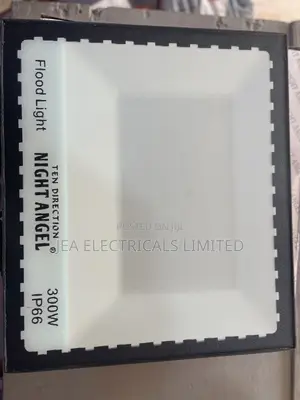 300W Floodlight
