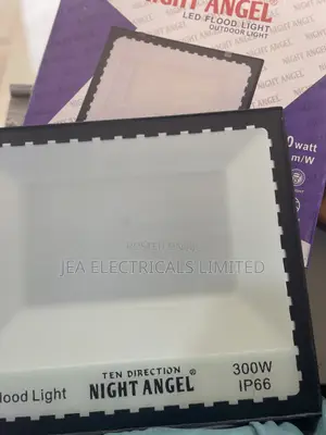 300W Floodlight