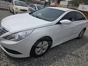 Hyundai Sonata 2014 White