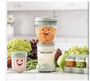 Baby Bullet Blender