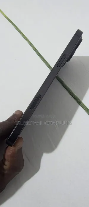 Apple iPhone 16 Pro Max 256 GB Graphite