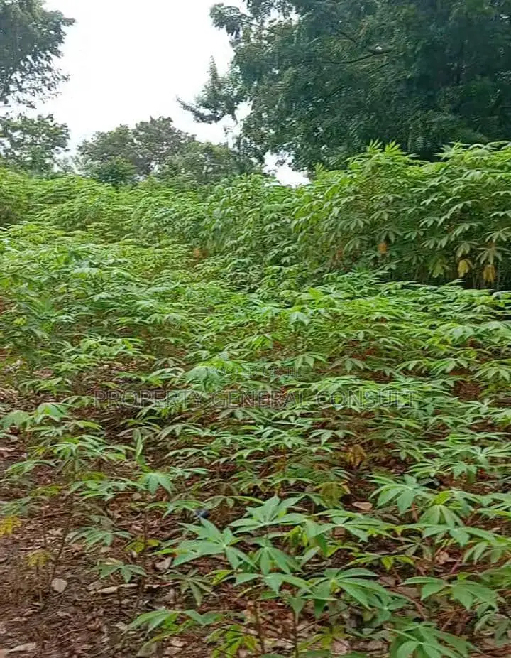 Residential Land in Ho