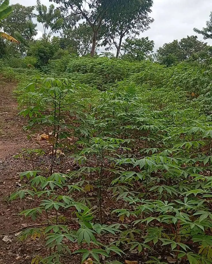 Residential Land in Ho