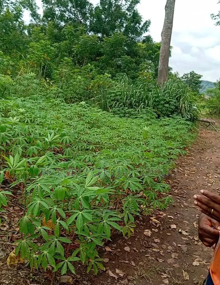 Residential Land in Ho