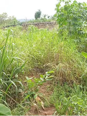 Residential Land in Ho