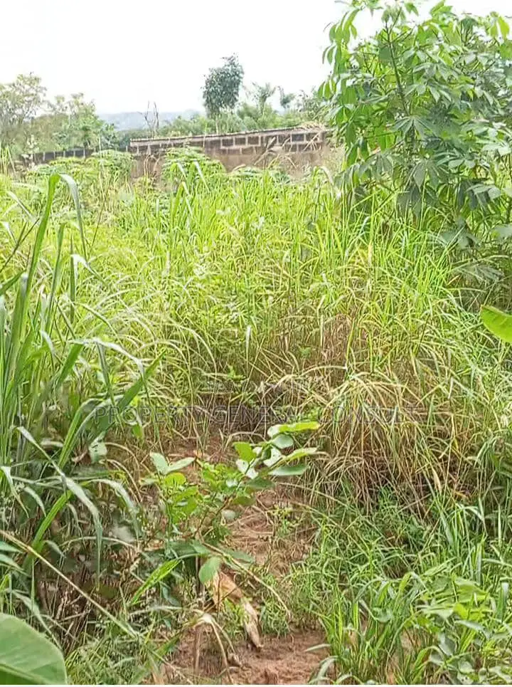 Residential Land in Ho