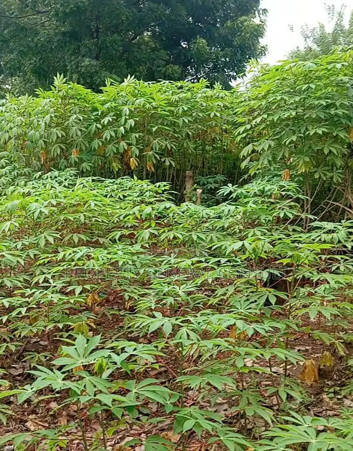 Residential Land in Ho