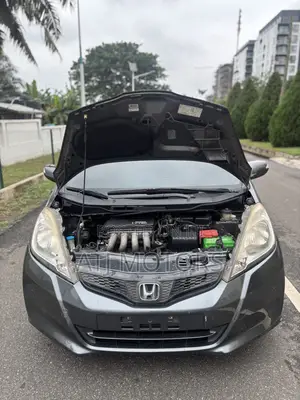 Honda Fit 2011 Gray