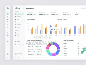 Websites and Final Project Assistance (BSc IT/CS)