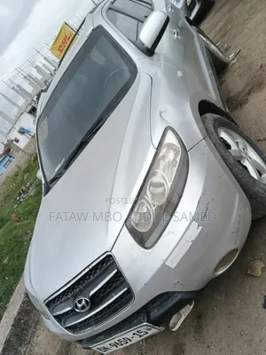 Hyundai Santa Fe 2010 Silver