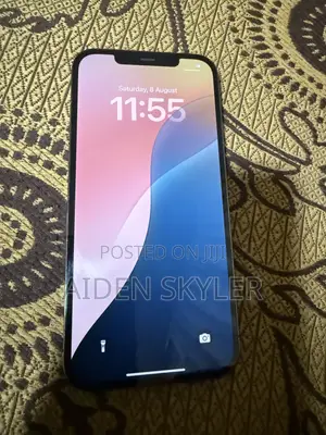 Apple iPhone 12 Pro Max 256 GB Gray