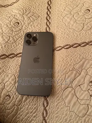 Apple iPhone 12 Pro Max 256 GB Gray