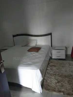 Furnished 1bdrm Apartment in Pleasantplaces And, Dzorwulu for rent