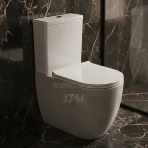 High Level Raised Egg Shaped 2 Piece Complete Wc Watercloset Slim Tank