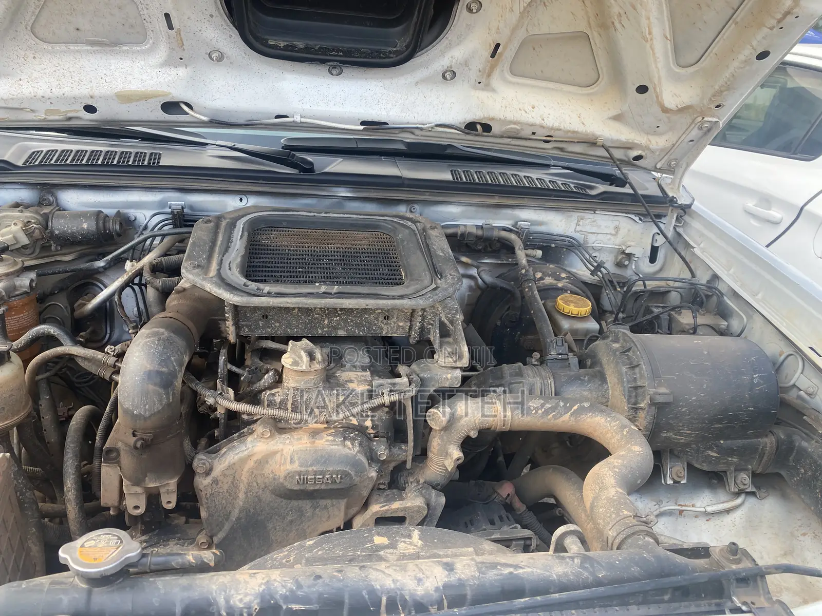 Nissan Hardbody 2019 White
