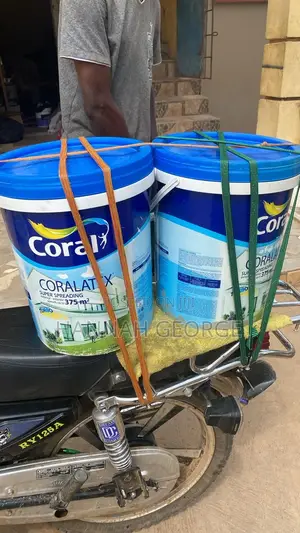 Coral Paint for Sale