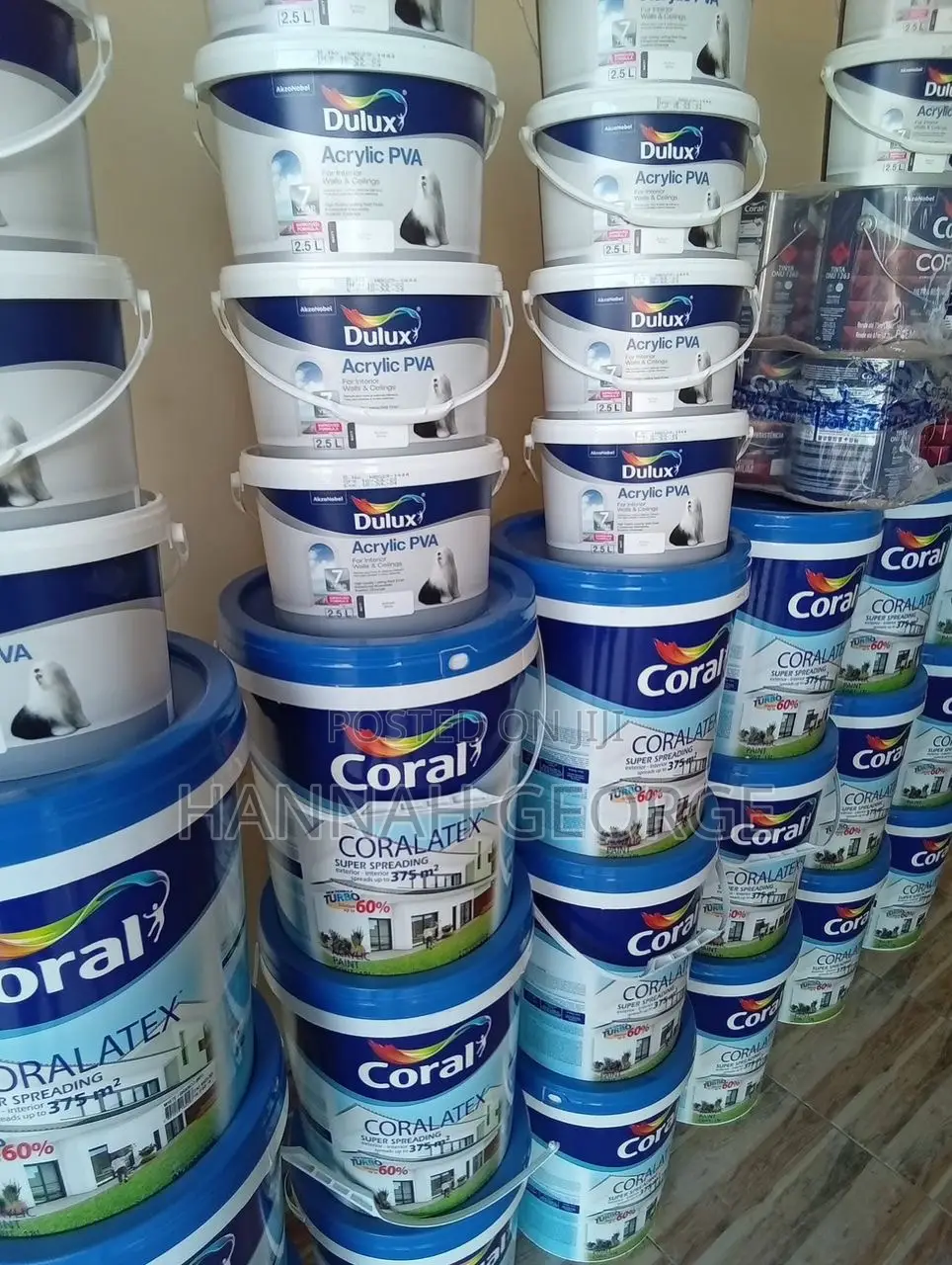 Coral Paint for Sale