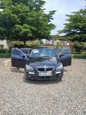 BMW 5 Series 2010 Blue
