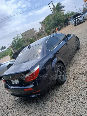 BMW 5 Series 2010 Blue