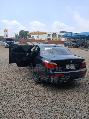BMW 5 Series 2010 Blue