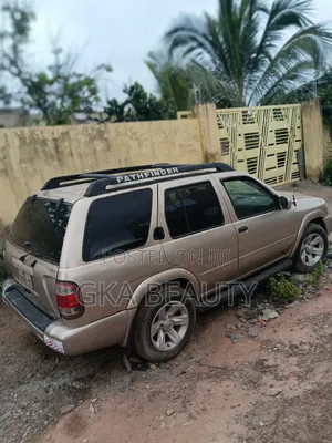 Nissan Pathfinder 2003 Beige