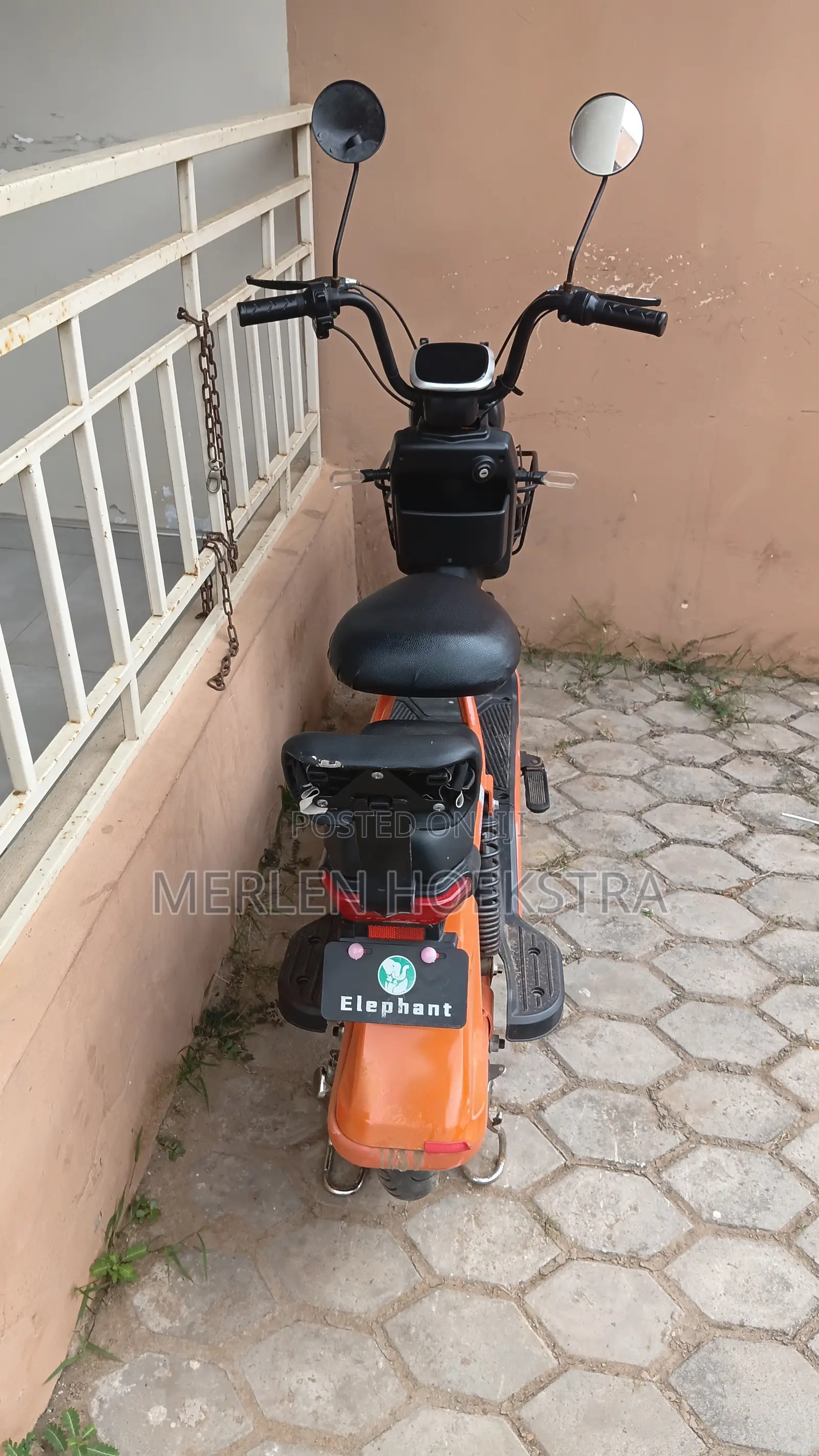 EGL Beach Buggy 2025 Orange