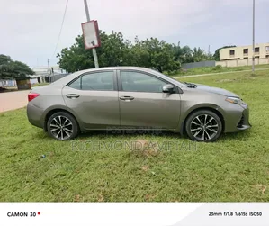 Toyota Corolla 2019 Gray
