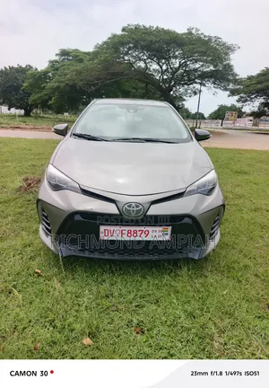 Toyota Corolla 2019 Gray