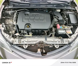 Toyota Corolla 2019 Gray