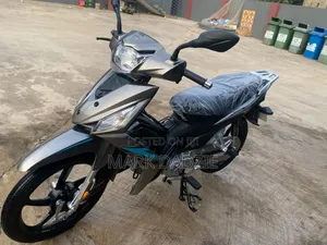 Apsonic AP110 2026 Gray