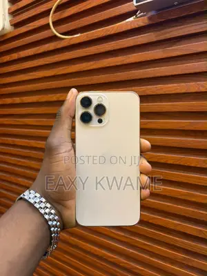 Apple iPhone 13 Pro Max 256 GB Gold