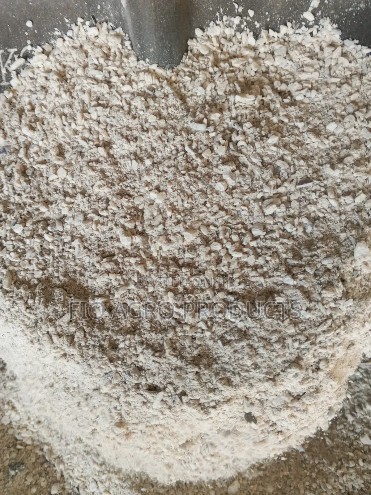 Oyster Shells