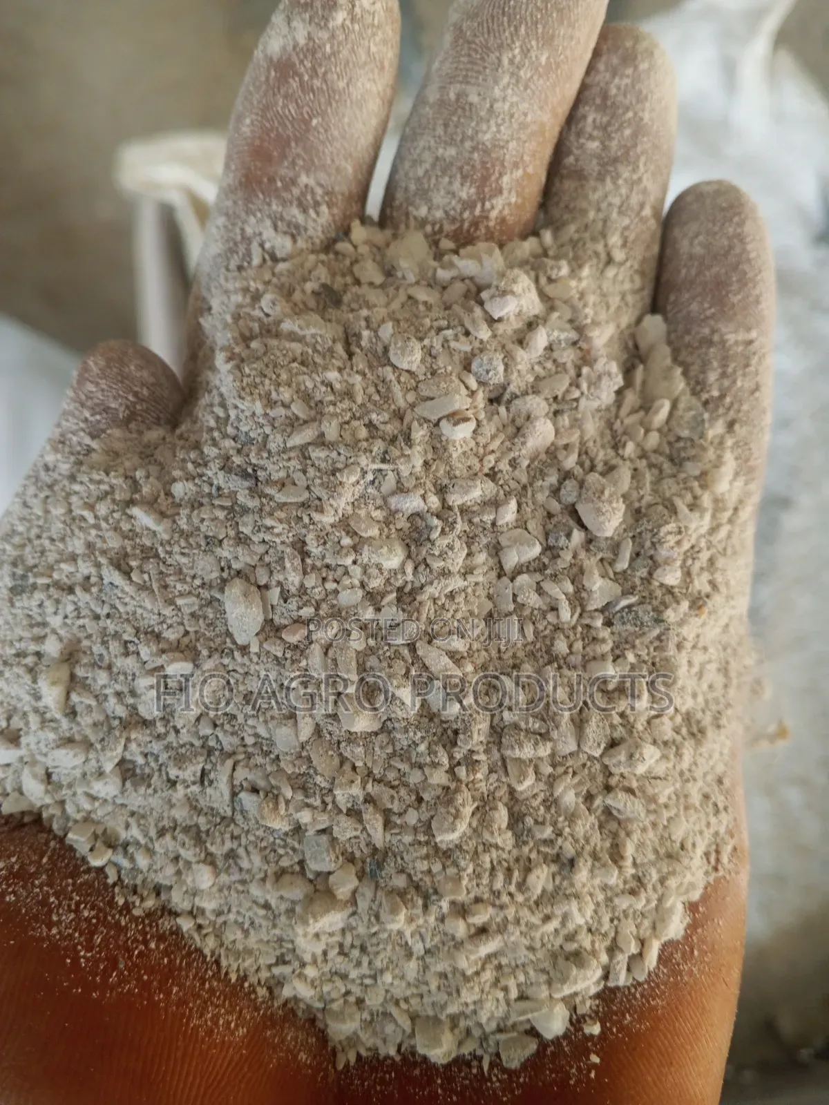 Oyster Shells