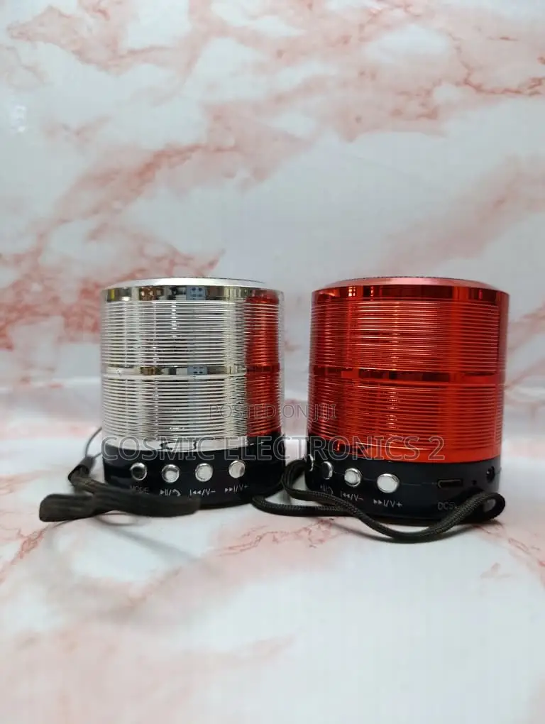 WS-887 Portable Wireless Bluetooth Mini Speaker