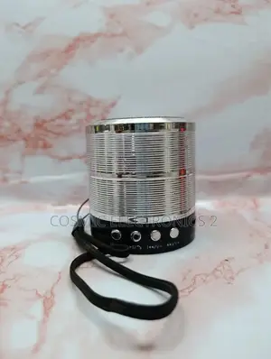 WS-887 Portable Wireless Bluetooth Mini Speaker