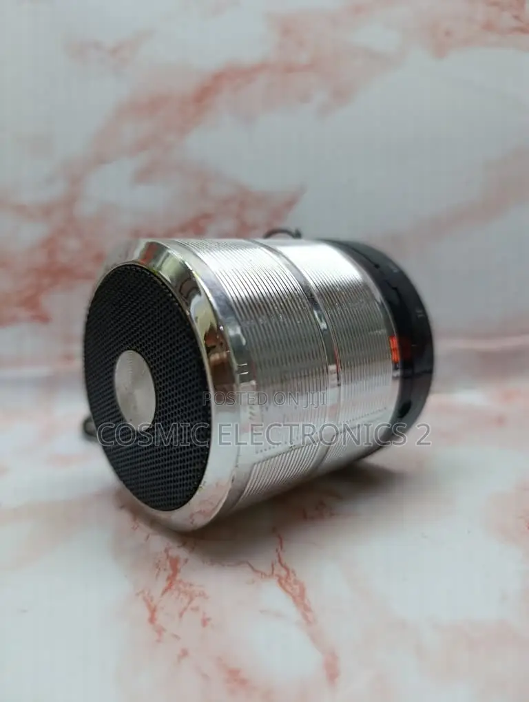 WS-887 Portable Wireless Bluetooth Mini Speaker