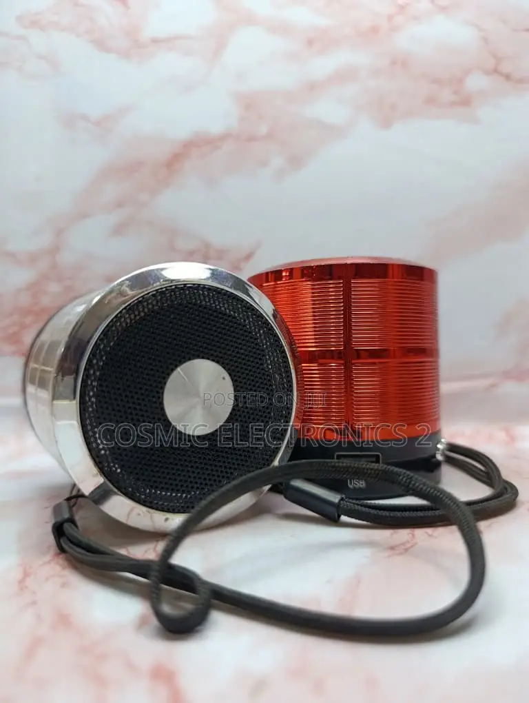 WS-887 Portable Wireless Bluetooth Mini Speaker