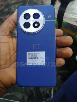 OnePlus 13 512 GB Blue