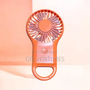 Roku Mini Fan