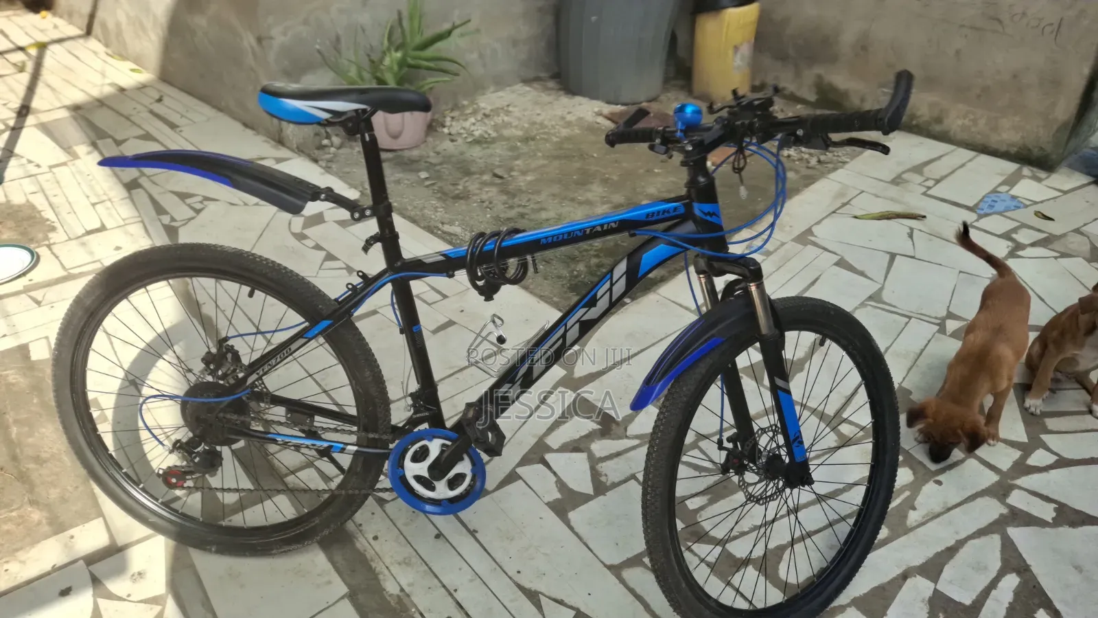 New Motorcycle 2025 Blue