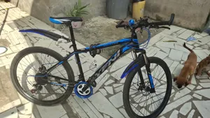 New Motorcycle 2025 Blue