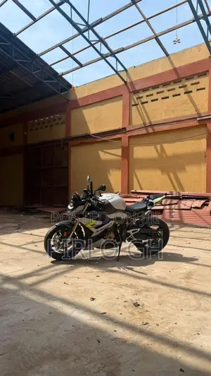 BMW S 1000 R 2022 Gray