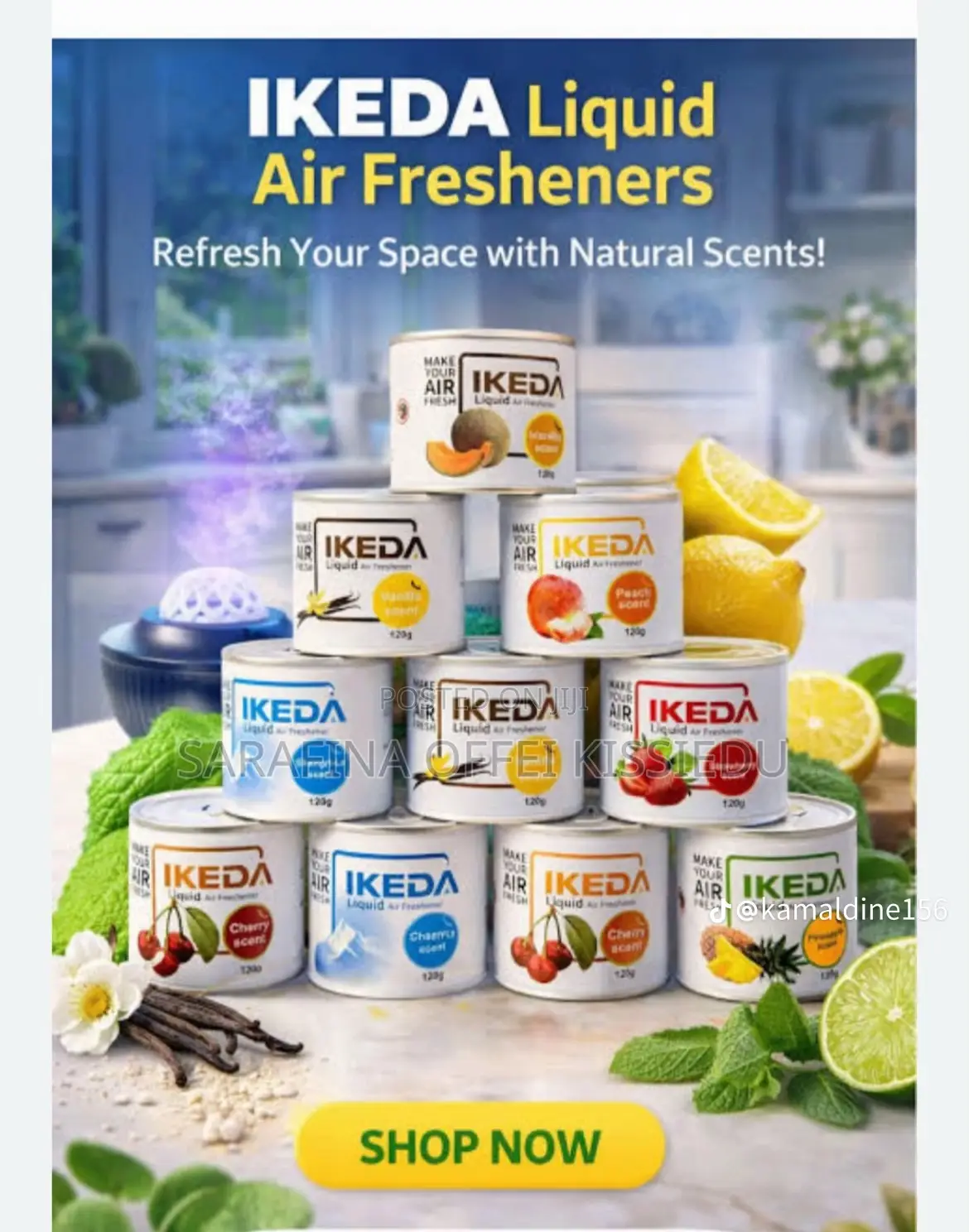 Ikeda Air Freshnerss Long Lasting Fragrance for Your Homes and Cars