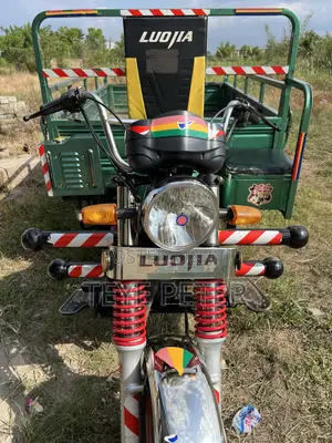 Luojia Cargo Tricycle 2026 Green