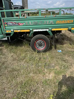 Luojia Cargo Tricycle 2026 Green