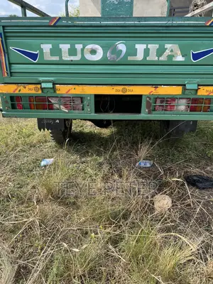 Luojia Cargo Tricycle 2026 Green