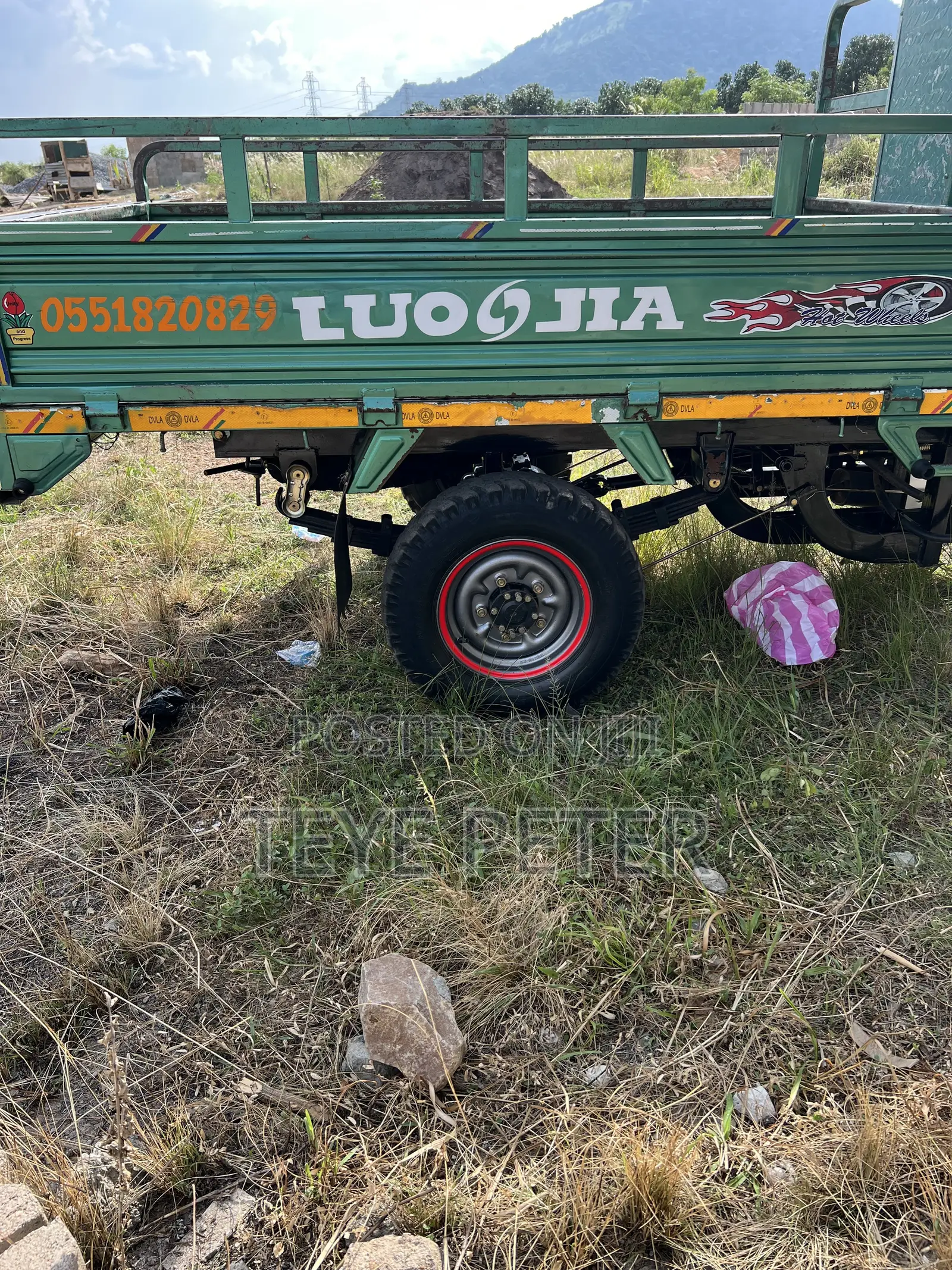 Luojia Cargo Tricycle 2026 Green