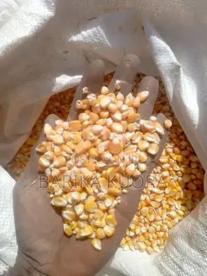 Aflatoxins Free Maize